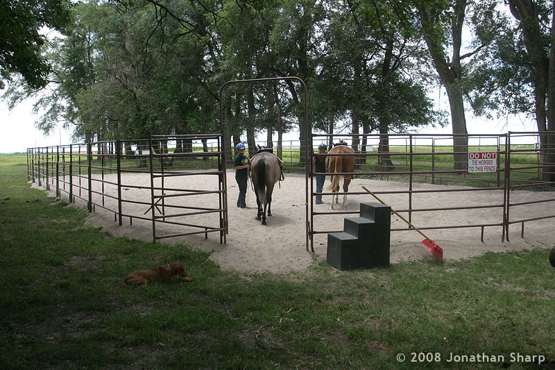 Horse Boarding Facility Horse Boarding Stables Omaha/Bellevue