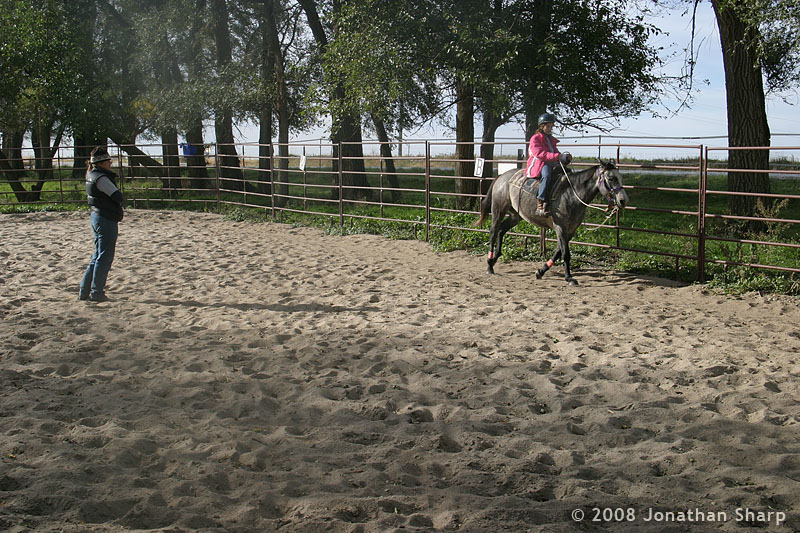 Horse Boarding Facility Horse Boarding Stables Omaha/Bellevue